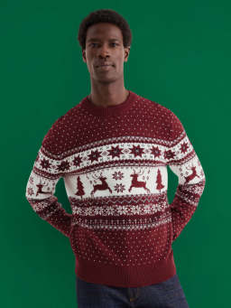 Trui voor de kerst Trui voor de kerst