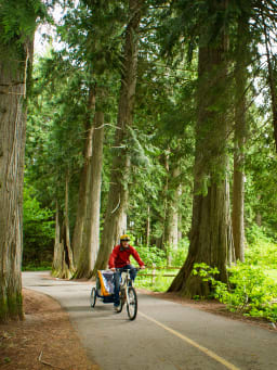 Vater unternimmt mit seinem Kind eine Radtour durch den Wald.
