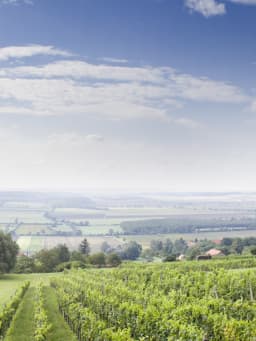 Fahrradurlaub Burgenland