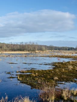 Fietsvakantie in Drenthe
