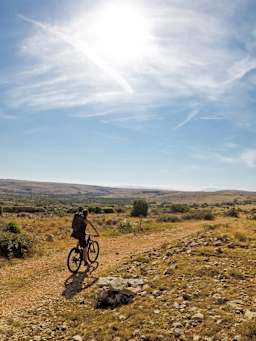 Turismo de bicicleta por Navarra: un ciclista recorriendo un paraje navarro.