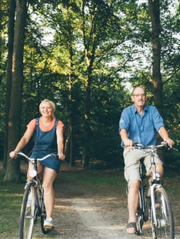 Fietsroute in Noord-Brabant