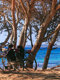 Puglia in bicicletta