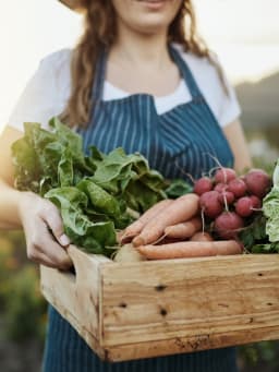 Un jardin potager en permaculture
