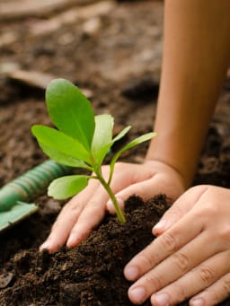 Le jardinage avec des enfants