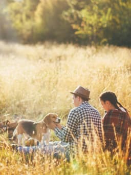 Les animaux en vacances