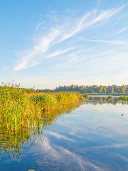Outdoor-activiteiten aan de Oostvaardersplassen