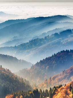 Aktivurlaub im Schwarzwald