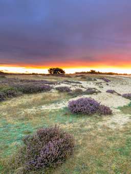 Buitenactiviteiten op de Veluwe