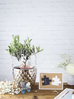 Zilveren huwelijk cadeau & DIY-kaart ideeën