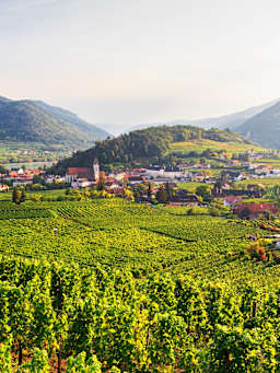 Familienurlaub in Niederösterreich