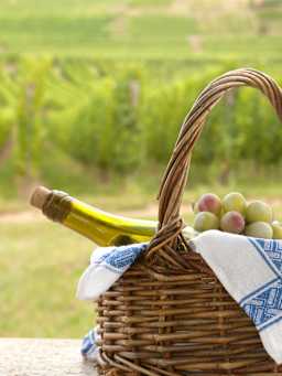 Oenotourisme en Alsace