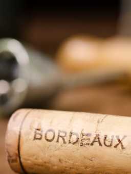 Oenotoursime à Bordeaux