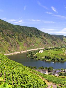 Weinregion Mosel
