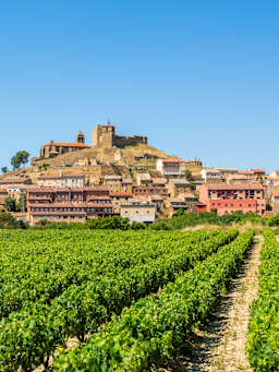 Enoturismo en La Rioja
