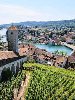 Weinregion Schaffhausen