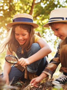 Experimente im Wald für Kinder