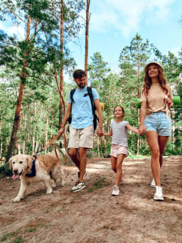 Regeln im Wald für Kinder
