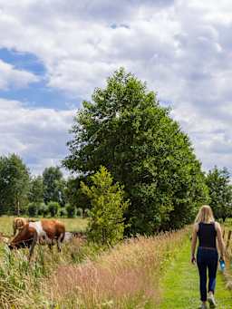 Klompenpaden: mooiste klompenpaden en voorbereiding