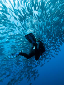 Snorkelen & Duiken – Onderwaterwereld ontdekken