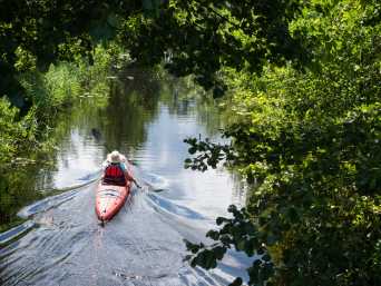 Wasserwandern Mecklenburgische Seenplatte – Mann paddelt im Kanu über einen naturbelassenen Fluss.