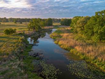 Spływy kajakowe Wielkopolska: widok na łąki łęgowe w Rogalińskim Parku Krajobrazowym.