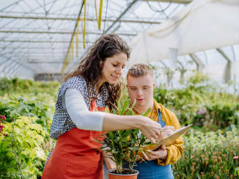 Formación profesional para personas con discapacidad: un estudiante hace prácticas en un centro de jardinería.