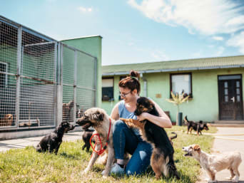 Freiwilligenarbeit Tierheim: Junge Frau betreut Hunde im Aussenbereich. 