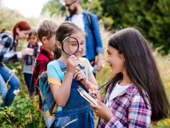 Campamentos infantiles: un grupo de niños explora la naturaleza juntos