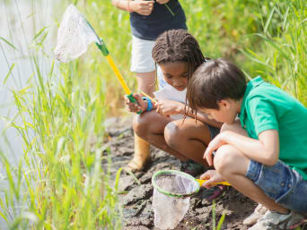 Campamentos infantiles de verano: unos niños exploran la orilla de un lago usando una red.