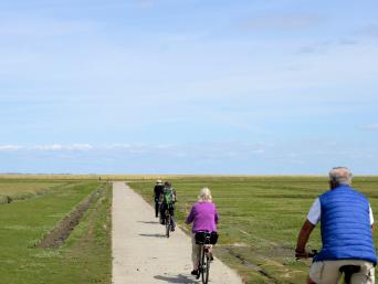 Fietsvakantie Friesland: dagenlang genieten van de fietswonderen in Friesland. Fietsvakantie Friesland: dagenlang genieten van de fietswonderen in Friesland.