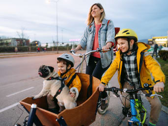 Remolque Bicicleta Para Mascota Infantil Niños Bebes Perros