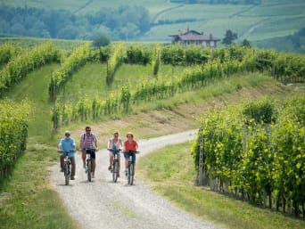 Piste ciclabili Piemonte: famiglia fa un giro delle Langhe in bici