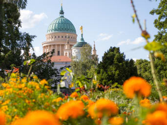 Fahrradtour Potsdam – Blick auf das ehemalige Stadtschloss Potsdam.