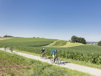Radwege Burgenland: Fahrradfahrer fahren durch die hügelige Landschaft des Burgenlands. 