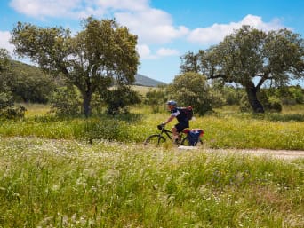 Rutas fáciles en bici por Extremadura: un ciclista recorriendo la Vía de la Plata.