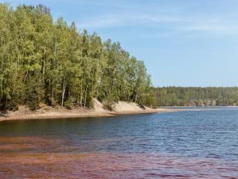 Ścieżki rowerowe lubuskie: egzotyczne Jezioro Afryka w samym sercu Lubuskiego. 