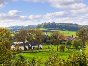 Een mooi stuk natuur in de heuvels van Limburg.