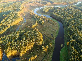 Dolina Rospudy – meandry rzeki widoczne z lotu ptaka.