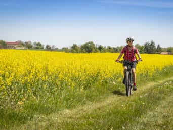 Rowery Mazury – cyklistka jadąca polną drogą obok pola rzepakowego.