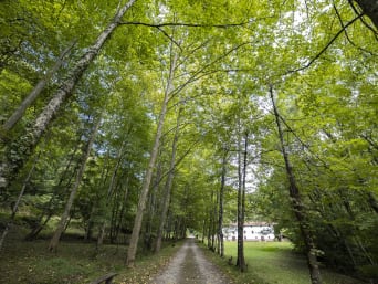 Rutas en bici por Navarra: uno de los muchos caminos que pasan por el Parque Natural del Señorío de Bertiz.