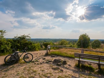 Radwege Niedersachsen – Fahrrad auf dem Gipfel des Wilseder Berges in der Lüneburger Heide.