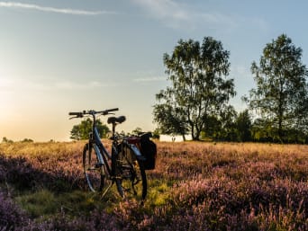 Radtour Lüneburger Heide – Fahrrad auf der Heide.