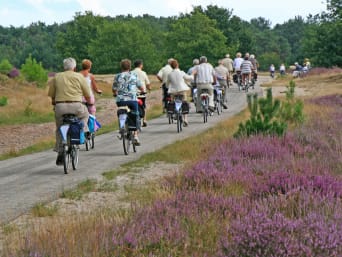 Mooie fietsroutes in Noord-Brabant: een groep ouderen fietst door de natuur. 