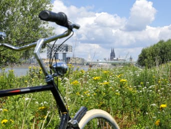 Fahrradtour NRW – Rad steht auf einer Wiese am Rhein bei Köln.