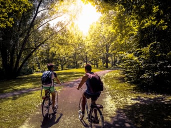 Fahrradtour NRW – Fahrradfahrer im Rheinaue-Park in Bonn. Fahrradtour NRW – Fahrradfahrer im Rheinaue-Park in Bonn.