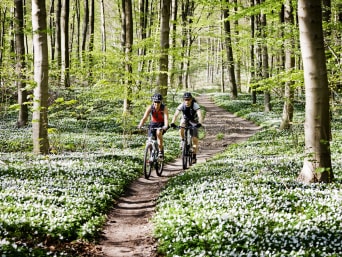 Veloweg Winterthur: Paar fährt gemeinsam auf ihren Mountainbikes durch den Wald.