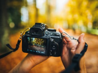 Cómo elegir una cámara de fotos: un fotógrafo mira el encuadre de una foto en la pantalla de su cámara.