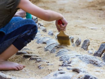 Geschichte erleben – Kind legt mit einem Pinsel ein Dinoskelett frei.