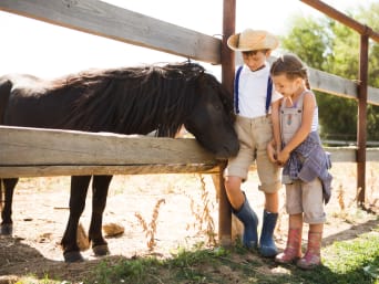 Erlebnisse mit Tieren – Kinder besuchen ein Pferd auf der Koppel.